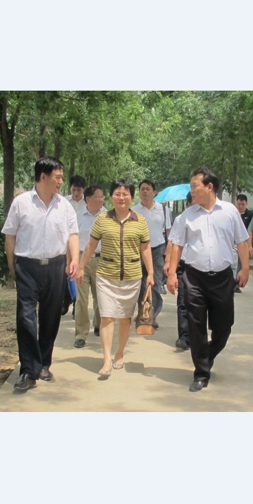 企业动态